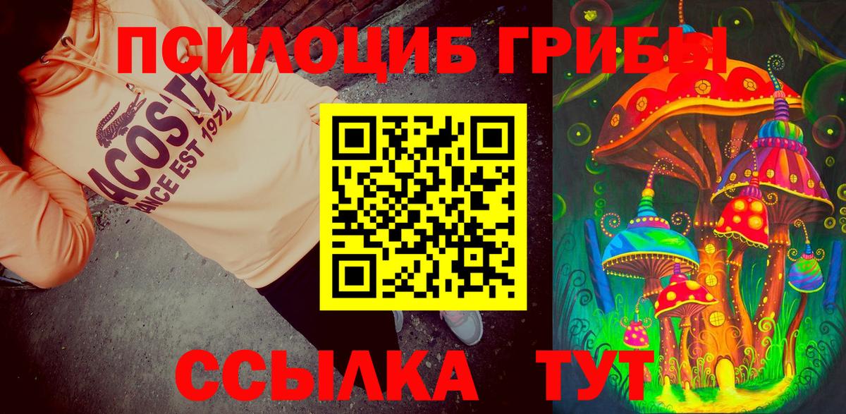 где продают   Вход с VPN  Энгельс  Псилоцибиновые грибы мухоморы 