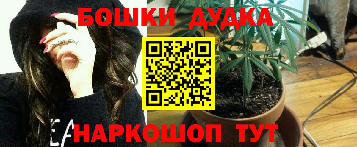 Бошки марихуана ГИДРОПОН Энгельс